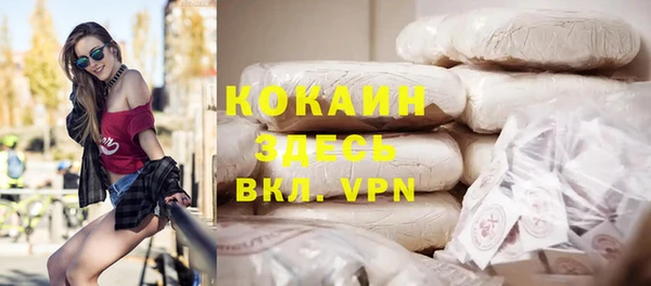 прущие грибы Зеленокумск