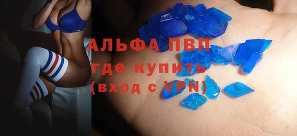 прущие грибы Зеленокумск