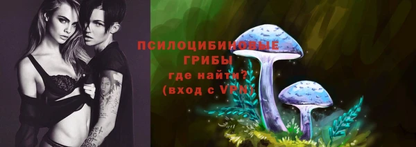 spice Заводоуковск