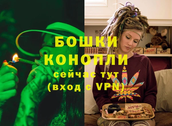 индика Заволжск
