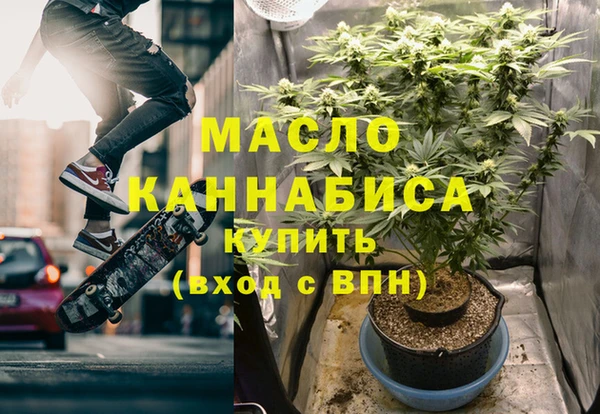 индика Заволжск