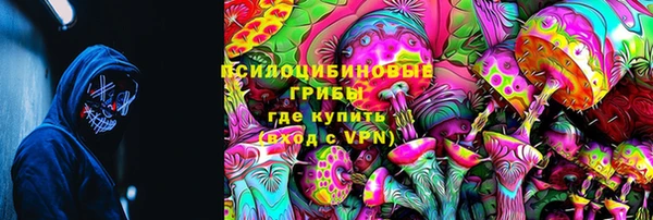 индика Заволжск