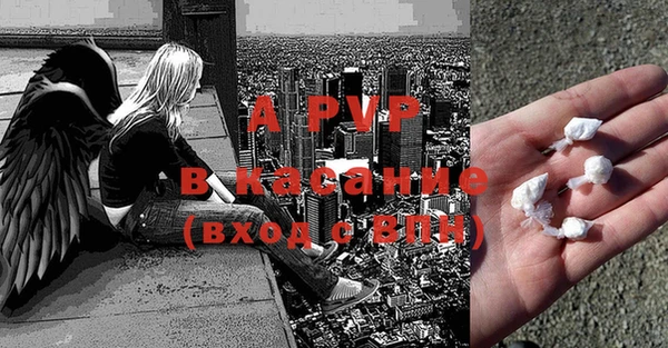 прущие грибы Зеленокумск