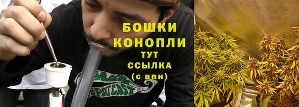 индика Заволжск