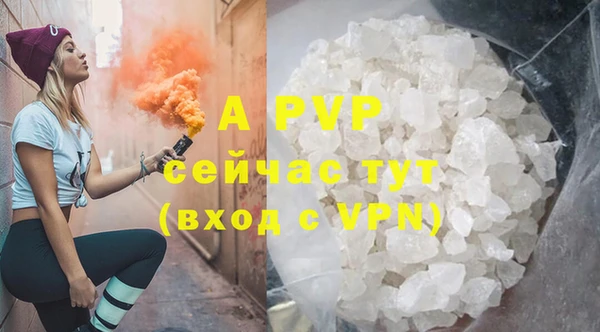 индика Заволжск